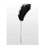 Piórko Do Łaskotania Feather Tickler Taboom — zdjęcie produktu od PLAYROOM