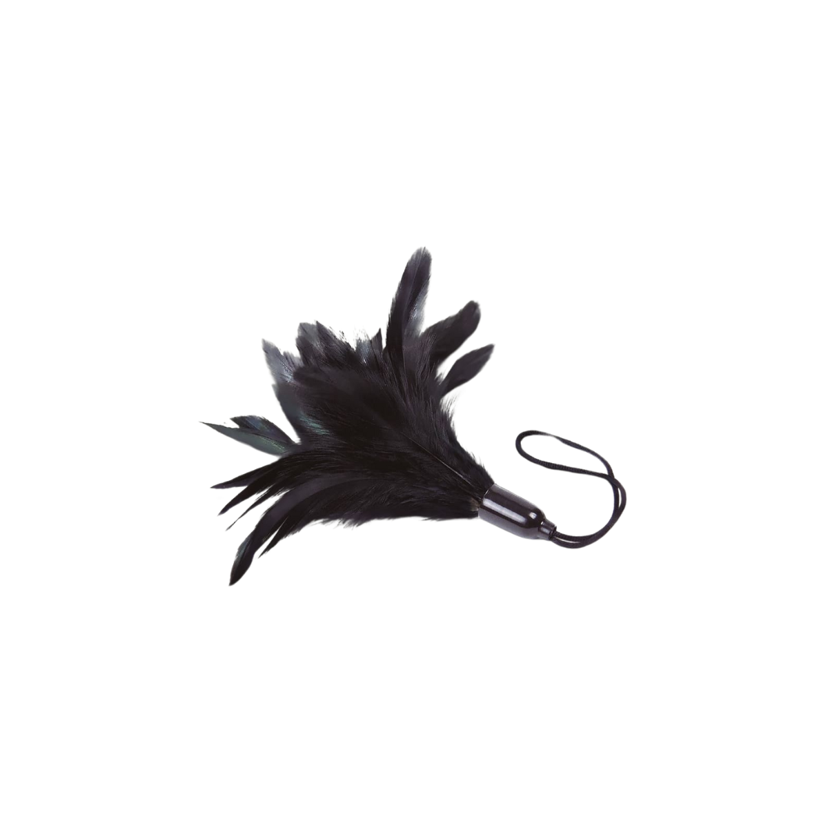 Feather Tickler Black - Prestiżowe Pióra Adrien Lastic — zdjęcie produktu od PLAYROOM