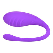 Loving Joy Love Egg – jajeczko z pilotem i USB
